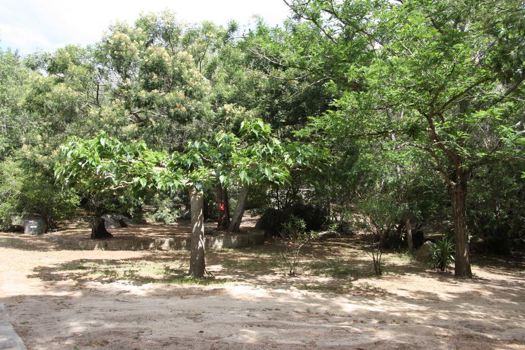 Camping Les Ilots D'Or Porto-Vecchio  Dış mekan fotoğraf