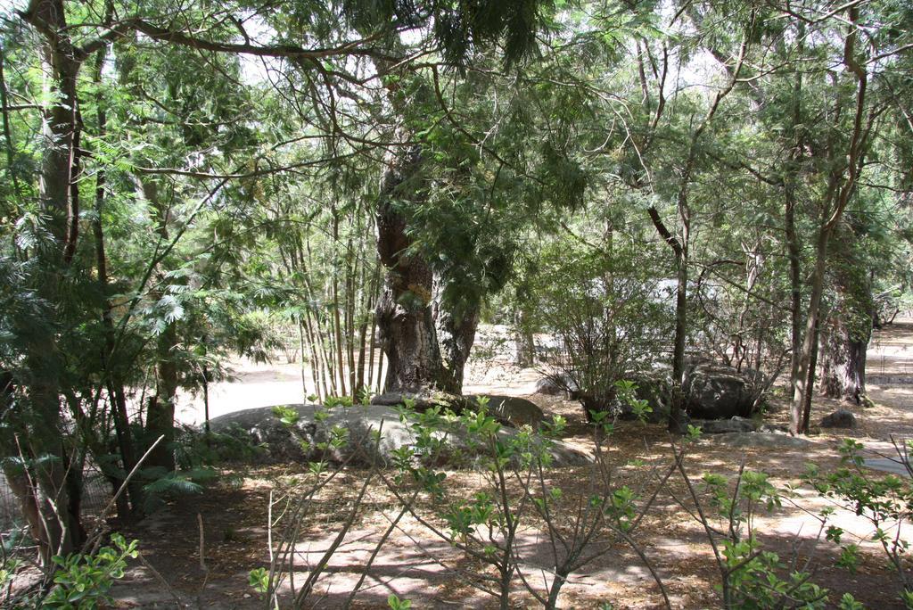 Camping Les Ilots D'Or Porto-Vecchio  Dış mekan fotoğraf